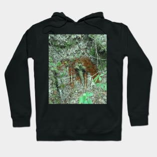 Waterhole hole in the forest Hoodie